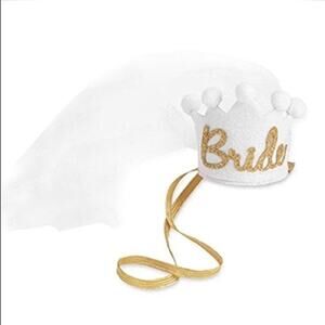Mud pie bride tiara and veil bridal shower bachelorette party hat